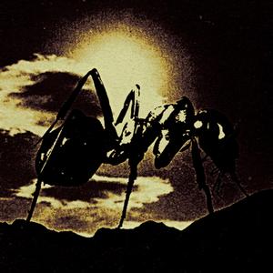 Rare Mental Enix (Plyometrix)