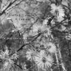 A pale view of dem hills (Jeremy Young Rework)