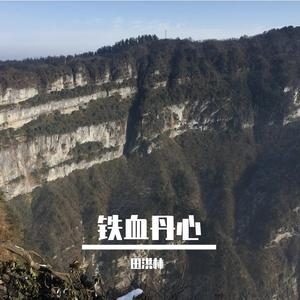 铁血丹心（翻自 罗文）