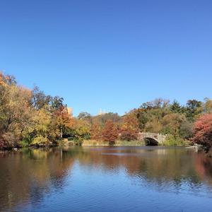 《朋友别走》（女美声版）