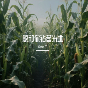 想和你钻苞米地