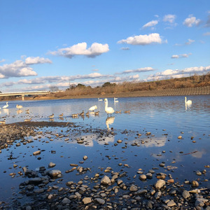 ラ・カンパネラ (crystal ver.)