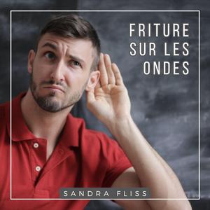 Friture sur les ondes (feat. Romarin)