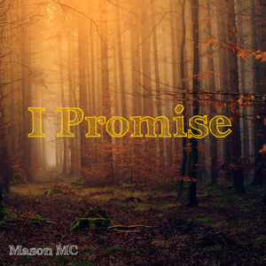 I Promise