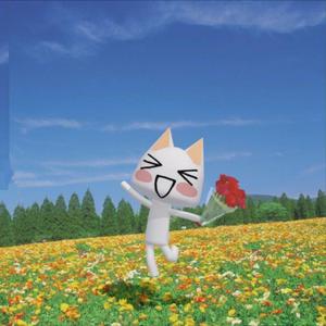 irony (luvclosure flip)