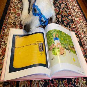 菜の花ばたけキラキラ