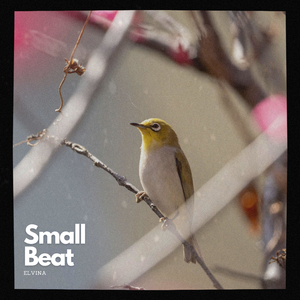 Small Beat (Radio Edit)