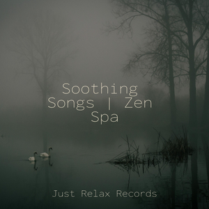 Midnight's Luminous Soar