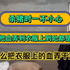 大型纪录片《杀猪》