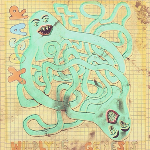 Eye Of The Wavestorm