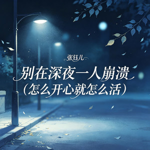 别在深夜一人崩溃（怎么开心就怎么活）