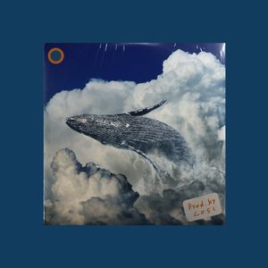 【FREE】DRILL BEAT / 鲸鸣