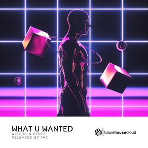 What U Wanted (Extended Mix)