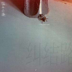 不该
