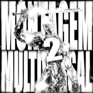 MONTAGEM MULTIVERSAL 2