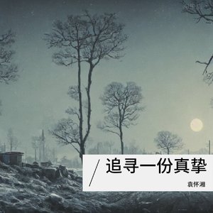《追寻一份真挚》