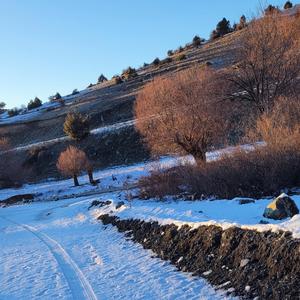 Adayımız Kamil Mutlu Esnafımız Çok Umutlu