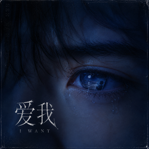 爱我 I WANT