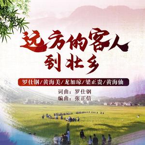 远方的客人到壮乡