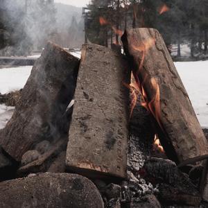 A Fireplace In The Woods