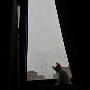 厌倦（Prod.Gr33nart Beats）