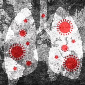 Der unerwünschte Gast