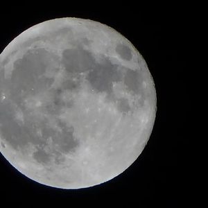 莫明我就喜欢你