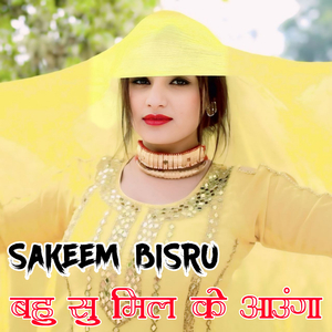 बहु सु मिल के आऊंगा