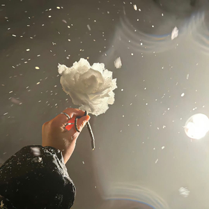 我的温柔刚好抵你半生漂泊