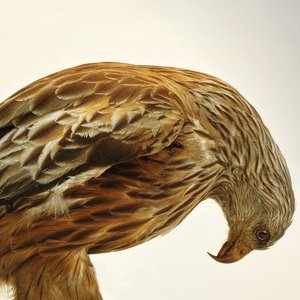 We Would Never Have Gone out If We Had Not Intended to Return