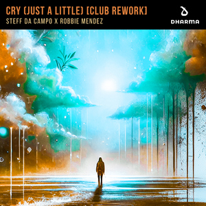 Cry (Just A Little) [Club Rework]