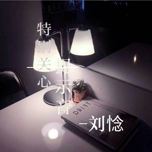 特别关心提示音