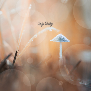 Inneres Licht
