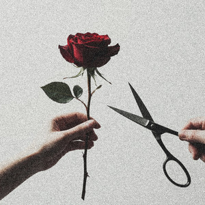 Розы (Clean Version)