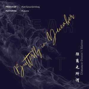 Butterfly In December