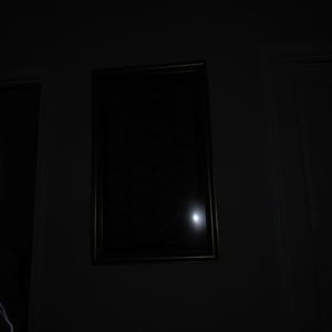 i can't see their beauty through their fear