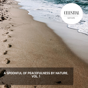 Rainy Walk in the Forest