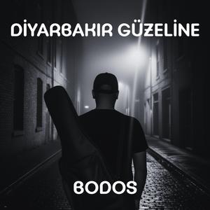 Diyarbakır Güzeline