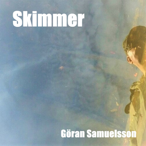 Skimmer