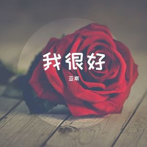 我很好 -亚斯 （热门版）