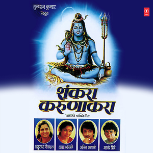 Sankatatuni Tarnyasaathi