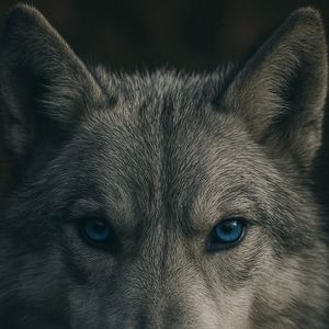 闲人勿近（PROD BY GOAT MUSIC）