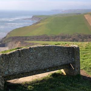 You Were Supposed To