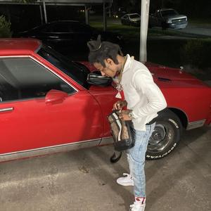 Trafficking Freestyle