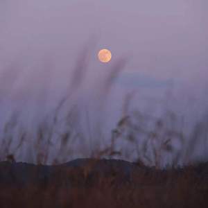 陈淑桦-output(js-audio-converter.com)（闲云 remix）