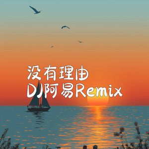 没有理由(DJ阿易版）