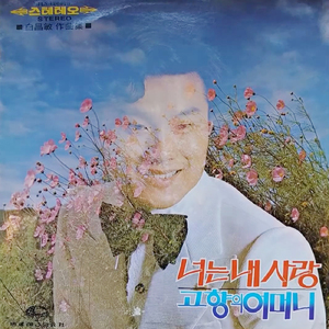 花びらに書いた手紙