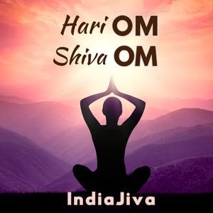 Hari Om Shiva Om