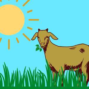 微妙的周四通勤心情