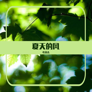 夏天的风